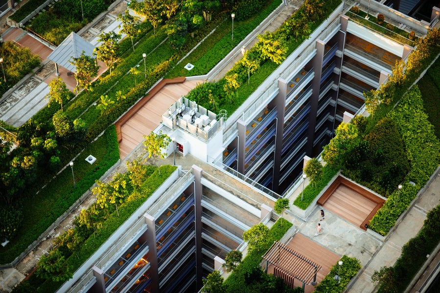 The green roof