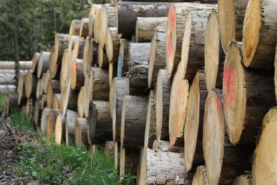 What is biomass ?