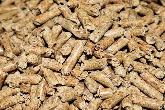 Wood energy, a solution for the ecological transition?